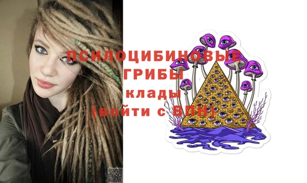 СК Мегион