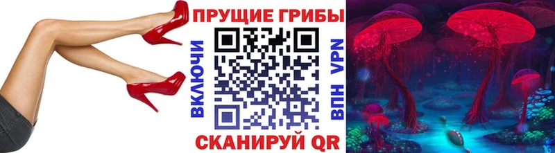 закладки  Усолье  shop формула  Псилоцибиновые грибы Cubensis 